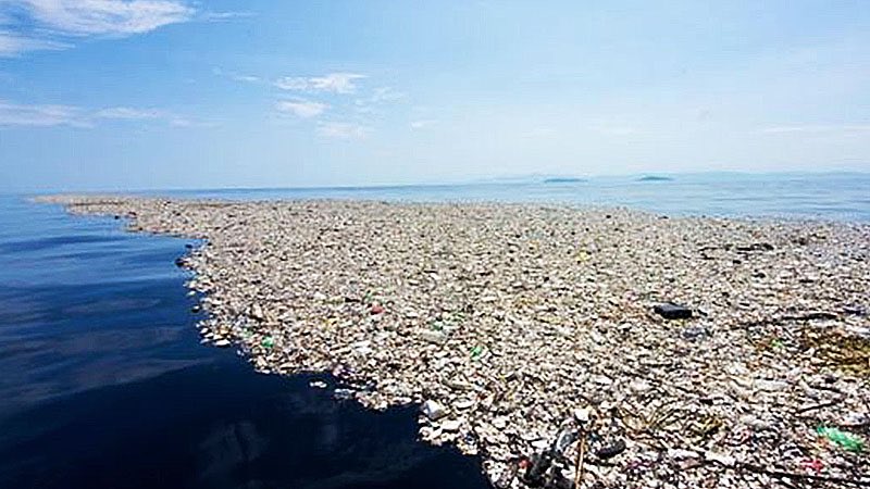 MarexadaSL's tweet image. Conoces la triste historia del #7ºContinente? Una masa de plástico de más de 1,6 millones de km2 o lo que es lo mismo, 3 veces Francia!! #GarbagePatch #TheGreatPacificGarbagePatch Busca a @TheOceanCleanup y ayúdalos! Nosotros ya lo hacemos🌊🤜🏻🤛🏻🌊