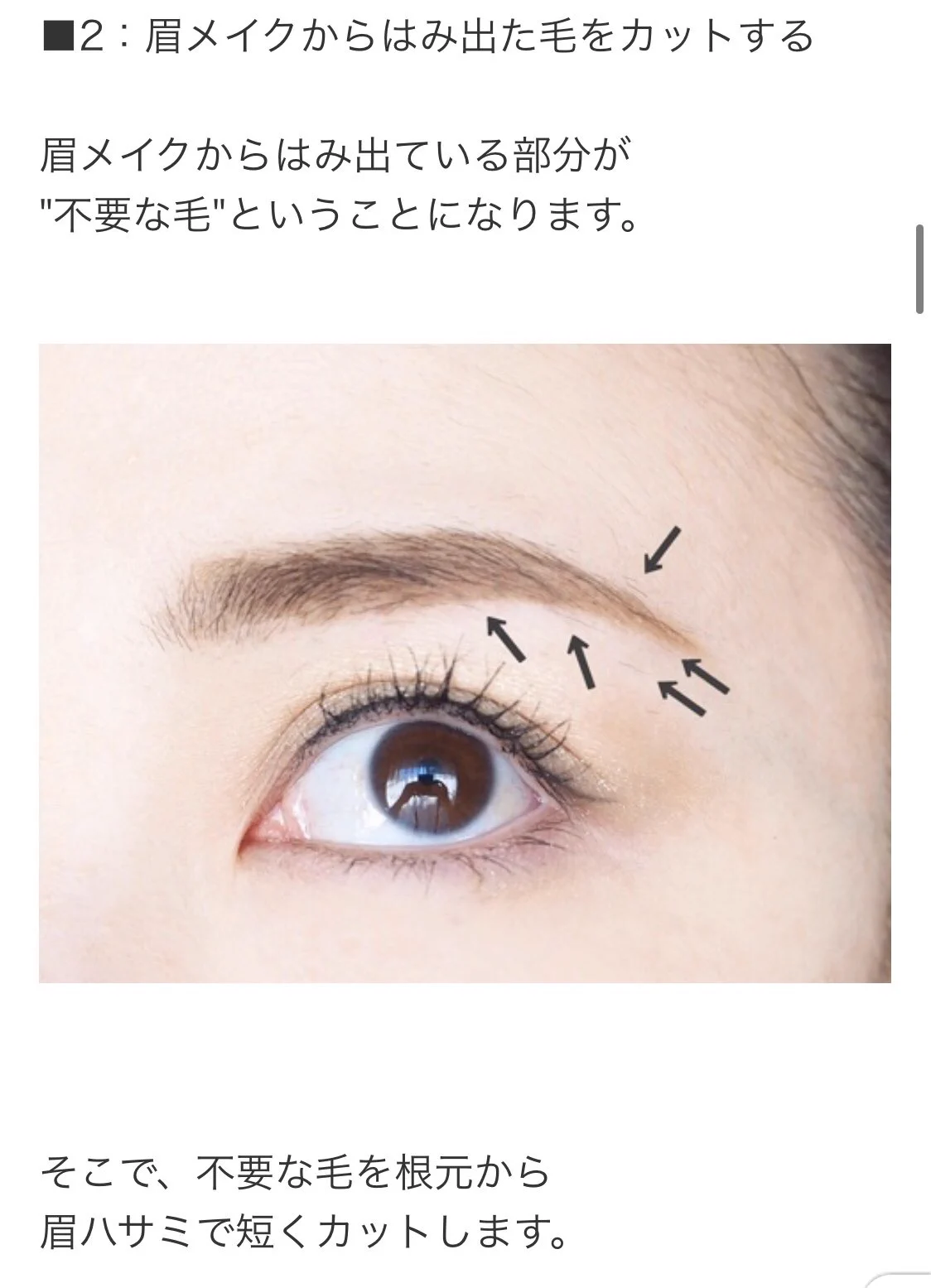 眉の手入れが苦手な方はぜひぜひ参考にしてほしい！！