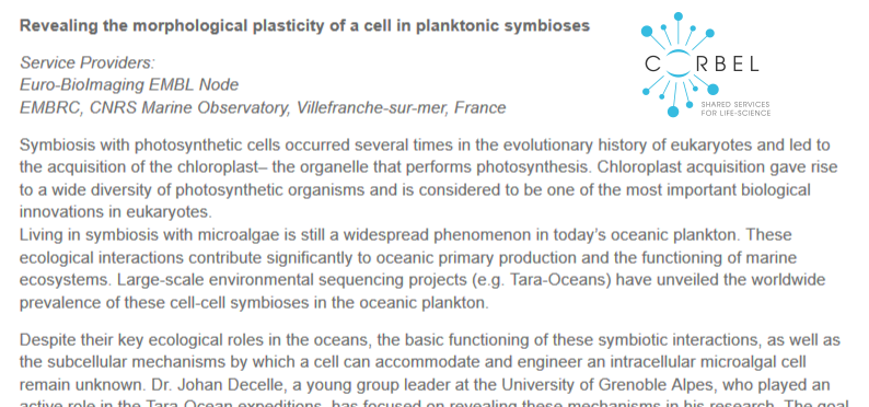 CORBEL_eu's tweet photo. How did access to @EMBRC_EU marine resources and @EuroBioImaging facilities help to investigate planctonic symbioses? Read our latest user story here: https://t.co/hXhg0iHWl6 
#EU_RIs #LifeScienceServices https://t.co/otQF0X9xsO