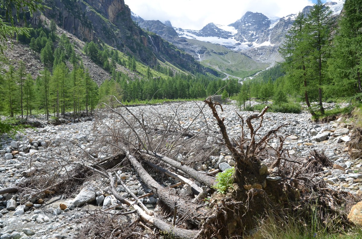 ECOPOTENTIAL (@ecopotentialprj) on Twitter photo How will #Climatechange effect #ProtectedAreas on the globe?
A study done by @samhoffmann91 <a href="/Severin_Irl/">Severin D.H. Irl</a> and Carl Beierkuhnlein <a href="/unibt/">Universität Bayreuth</a> was recently published in <a href="/NatureComms/">Nature Communications</a>.
Great work ecopotentialist!
nature.com/articles/s4146… How will #Climatechange effect #ProtectedAreas on the globe?
A study done by @samhoffmann91 <a href="/Severin_Irl/">Severin D.H. Irl</a> and Carl Beierkuhnlein <a href="/unibt/">Universität Bayreuth</a> was recently published in <a href="/NatureComms/">Nature Communications</a>.
Great work ecopotentialist!
nature.com/articles/s4146…