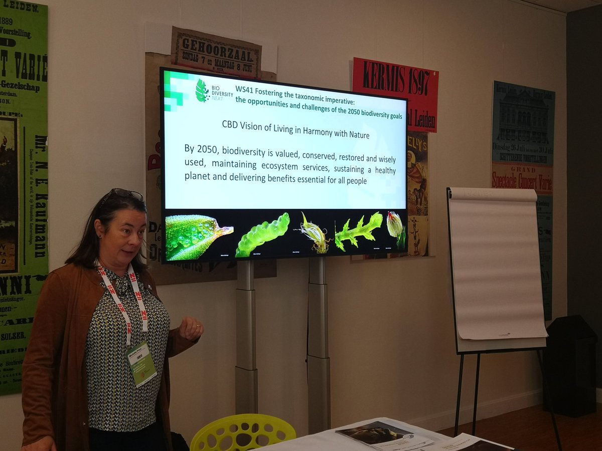 AnaBCasino's tweet photo. Changing #taxonomy impediment to taxonomic imperative full of opportunities, enthusiasm, challenges, neccesoties!!! By #MichellePrice at #biodiv_next session organise by #cetaf, #eurotaxonomy https://t.co/SOrf1O7R7B