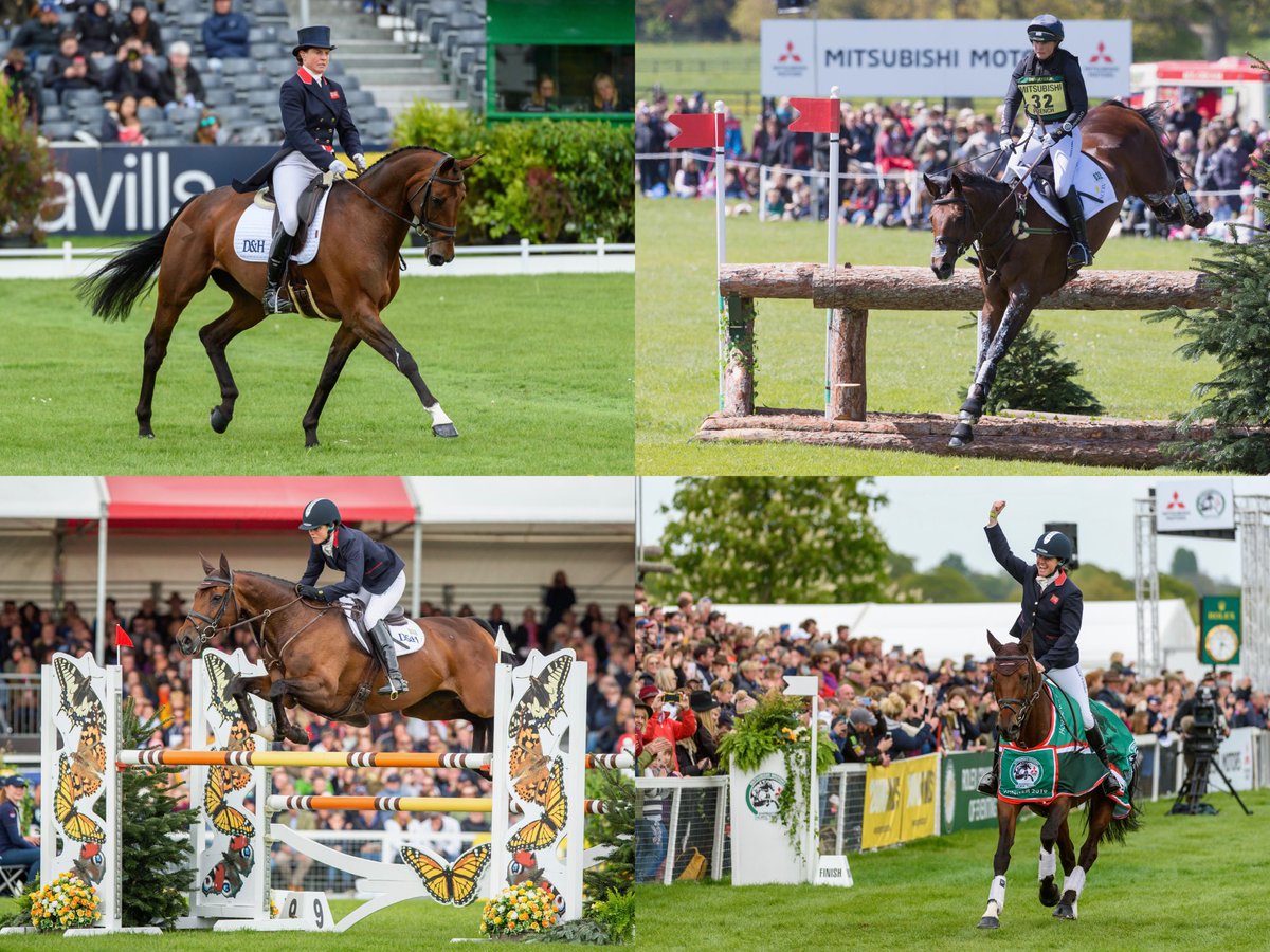 Delighted to have the wonderful Vanir Kamira nominated for H&amp;H Horse Of The Year.

🥇Badminton and 🥈Burghley.

I'm hugely proud of what we have achieved and her winning this would be a fabulous way to finish the year

Voting closes at midnight tonight. horseandhound.co.uk/archives/horse….