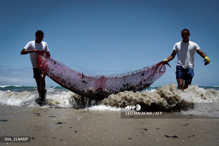 AureliaBAILLY's tweet image. Volunteers battle to remove oil from Paiva beach, Pernambuco state, Brazil. #AFP 
📸  Leo Malafaia