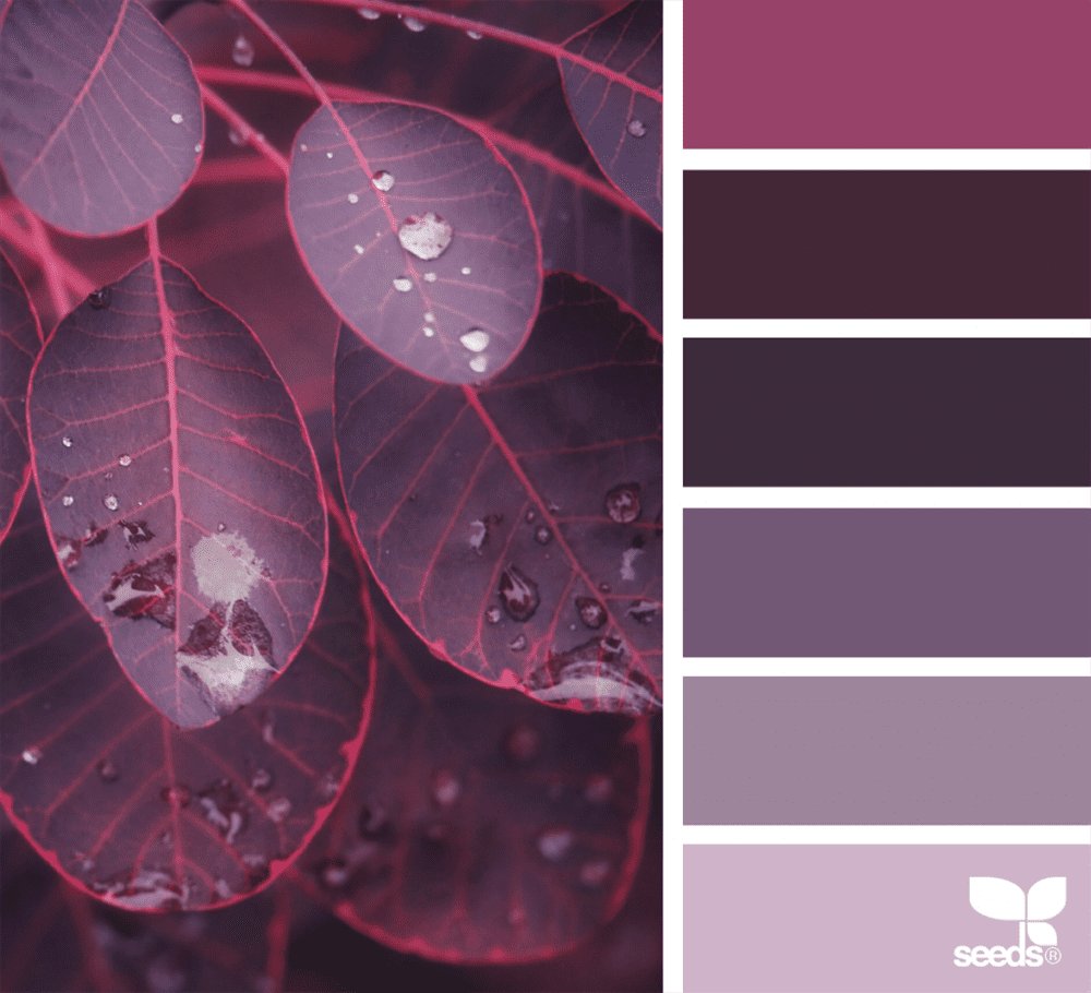 virginiagarnie's tweet image. Design Seeds, un blog a todo color buff.ly/2P4ioZV vía @macho_dominante @designseeds #DesignSeeds #JessicaColaluca #color #paletadecolor #pantone #diseño #diseñografico #diseñoeditorial #editorial