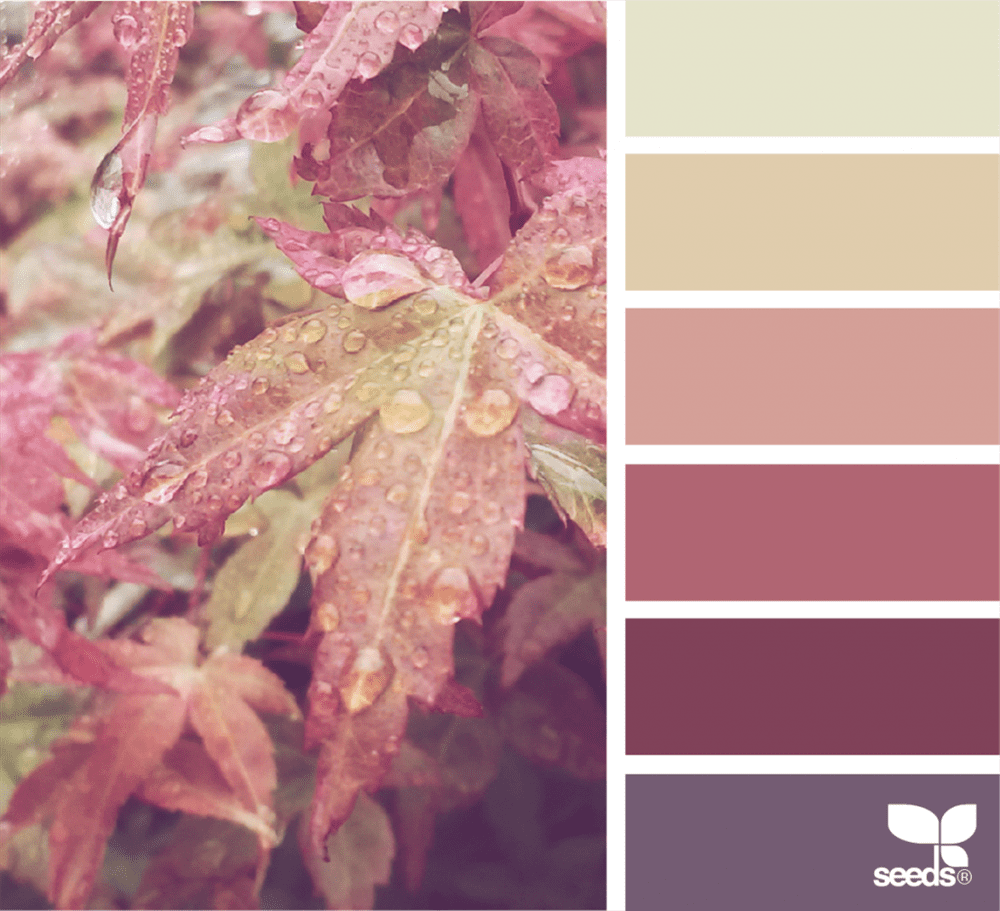 virginiagarnie's tweet image. Design Seeds, un blog a todo color buff.ly/2P4ioZV vía @macho_dominante @designseeds #DesignSeeds #JessicaColaluca #color #paletadecolor #pantone #diseño #diseñografico #diseñoeditorial #editorial