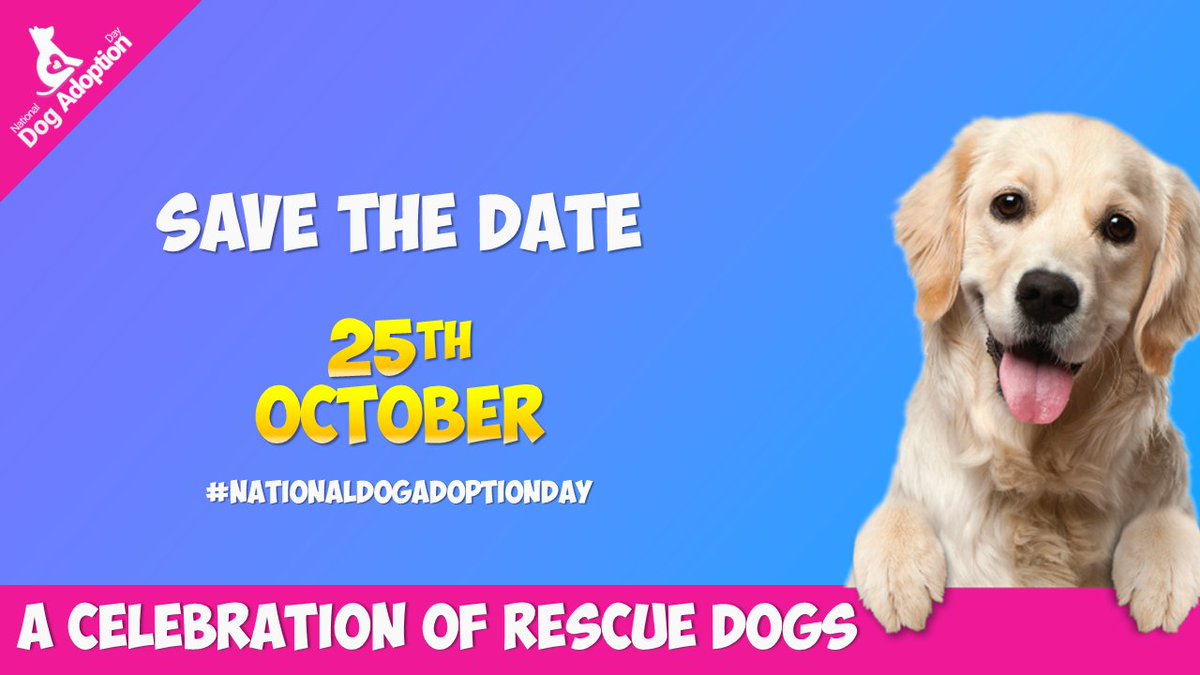 topdogtips's tweet image. A whole day dedicated to the celebration of dog adoption and rescue dogs. #nationaldogadoptionday