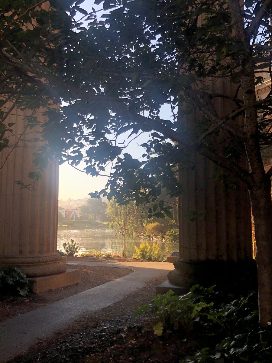 Heather Hall tweet media