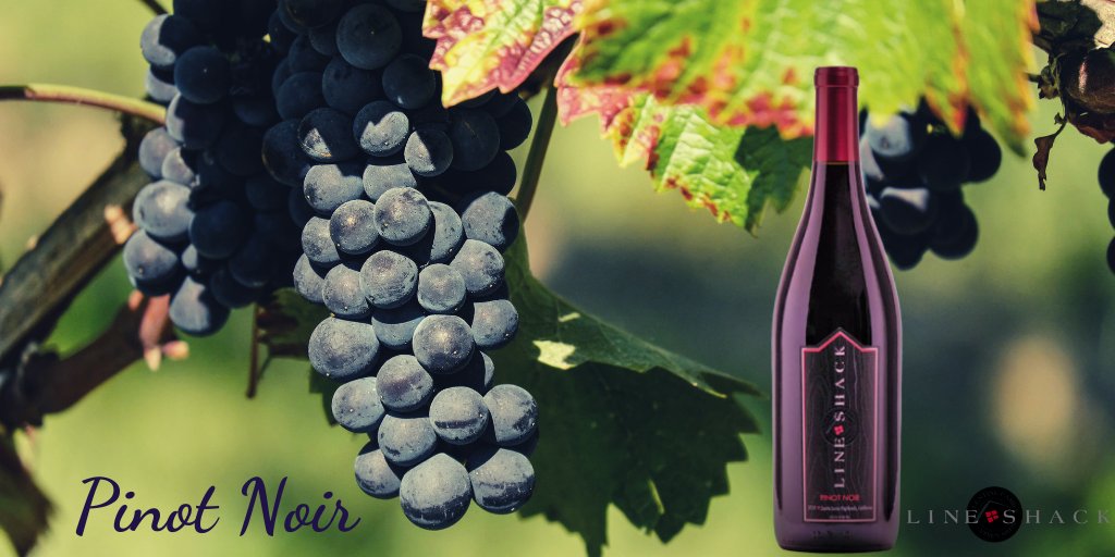 lineshackwine's tweet image. 𝑷𝒊𝒏𝒐𝒕 𝑵𝒐𝒊𝒓 𝑷𝒂𝒊𝒓𝒊𝒏𝒈

𝑫𝒖𝒄𝒌: Duck Breast with Pomegranate-Citrus Glaze

𝑷𝒐𝒓𝒌: Garlic and Herb Roasted Pork Tenderloin

𝑺𝒂𝒍𝒎𝒐𝒏: Oven-Baked Salmon Filets

𝑴𝒖𝒔𝒉𝒓𝒐𝒐𝒎𝒔: Roasted Mushrooms with Herbs

#wine #winelover #vino #redwine #LineShack