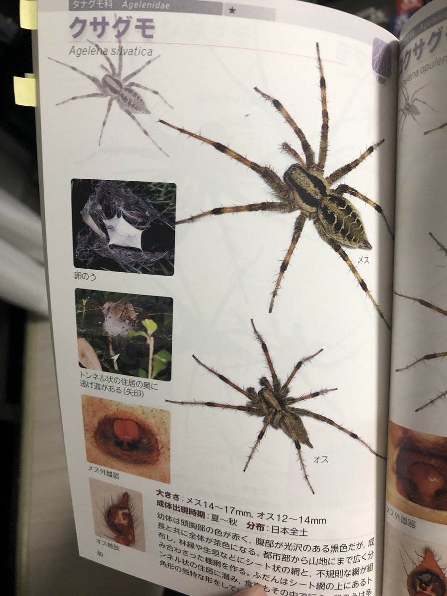 タだお だいぶ伸びてるな 主にサバゲ ロードバイク キャンプ アニメ 生き物など 多趣味雑多なアカウントになります 良かったらフォローしてください 後ほどフォロバします T Co Erzca2szzm Twitter
