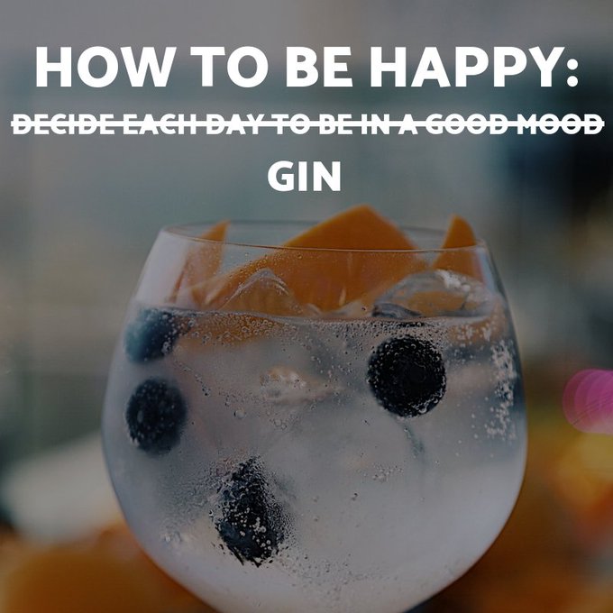 BrockmansGin's tweet photo. That will do it. #gin #ginaday https://t.co/xoK90ptGnK
