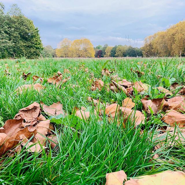 Blowing off some steam and getting some exercise in the lovely Autumnal @gunnersburyparkmuseum 🍁
🍂
🍁
#autumn #crisp #autumnal #London #Gunnersburypark #exercise #freshair #wellbeing #fitfamily #Ealing #lovelondon #feelslikeautumn ift.tt/2pPfgGp