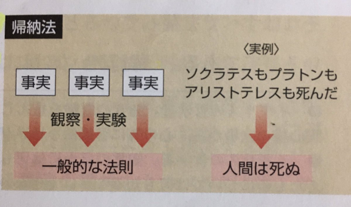 竹の花 Pa Twitter ソクラテスもプラトンもアリストテレスも人間ではなかった可能性は考えないんですか もういいです 窓から飛び降りる