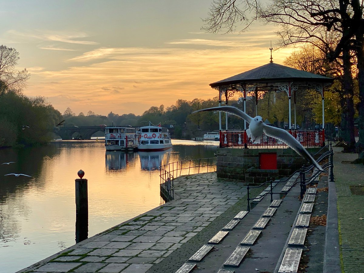A seagull photobombing my shot of tonight’s sunset by the River Dee <a href="/ShitChester/">12 years of Shitchester</a>