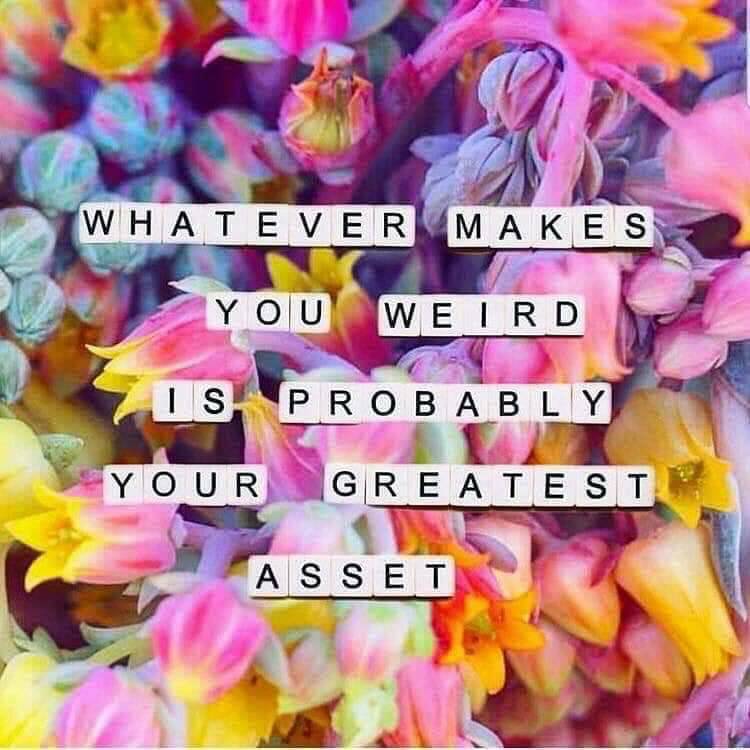 CapeCodMassage7's tweet photo. 🌸🌺Mid-Week Motivation🌺🌸

#MidWeekMotivation #MidWeekVibes #CelebrateDifferences #LoveYourWeird #CapeCod #CapeCodMassage https://t.co/hWpDkYZCwr