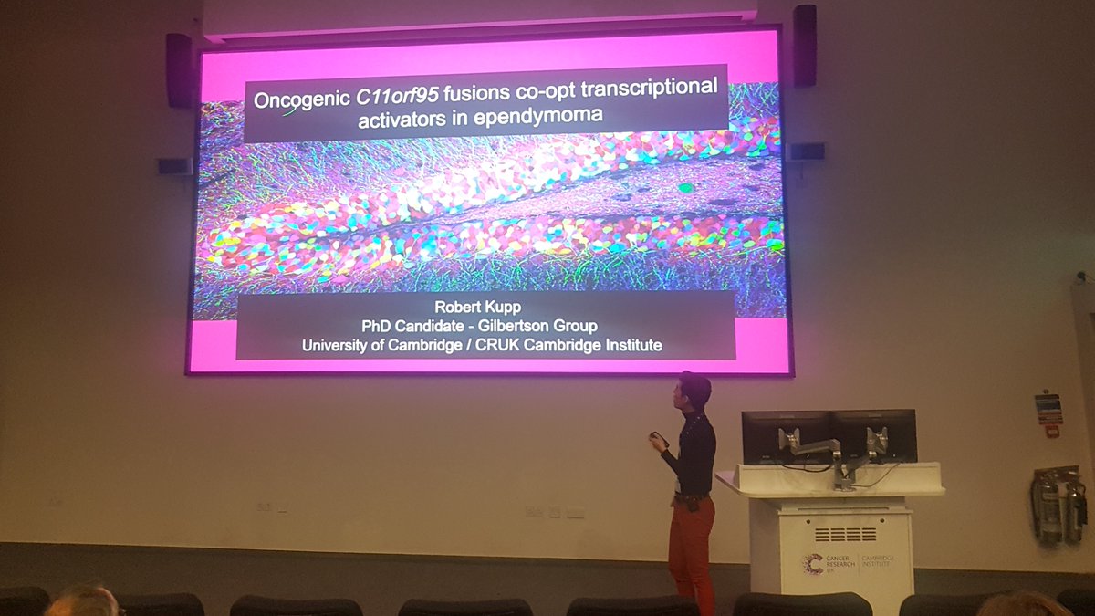 Great talk given by Robert Kupp on the oncogenic C11orf95 fusions co-opt transcriptional activators in ependymoma! #lunchtimeseminar #ependymoma @CRUKCambridge