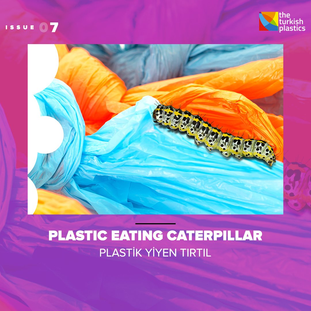 turkishplastics's tweet photo. Plastic eating caterpillar
Plastik yiyen tırtıl
https://t.co/B0TyvXKCbh
#plastik #plastikhaberleri #plastikmagazin #plastikdergisi #dergi #gündem #haberler #sosyalsorumluluk #socialsteeze #plastic #article #plasticarticle #news #plasticnews #plasticmagazine #magazine https://t.co/QKYVuZG576