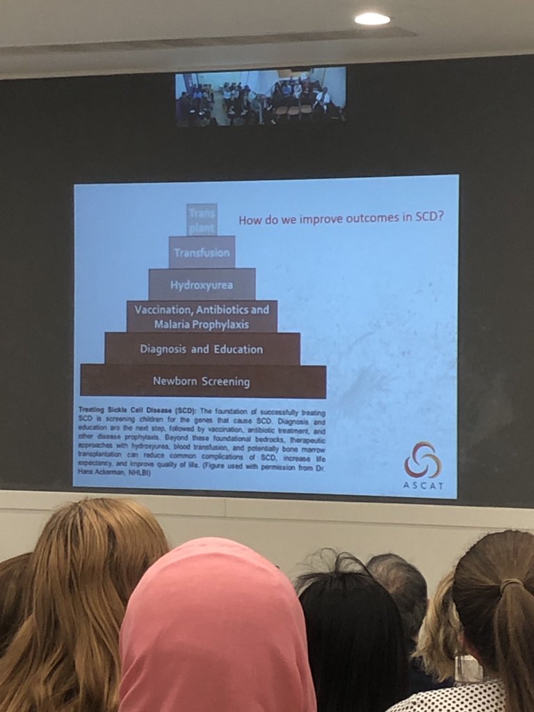 AlexanderGlaros's tweet photo. Dr. Wale Atoyebi with perhaps the most important message of #ASCAT2019. Important for patients AND doctors to remember how devastating sickle cell can be and how far evidenced based medicine has brought us. Trust in and communication of the science are key. #SickleCell #together https://t.co/CmzQBH5Idj