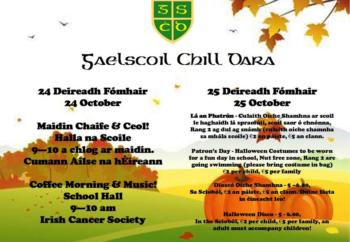 Gaelscoil Chill Dara tweet media