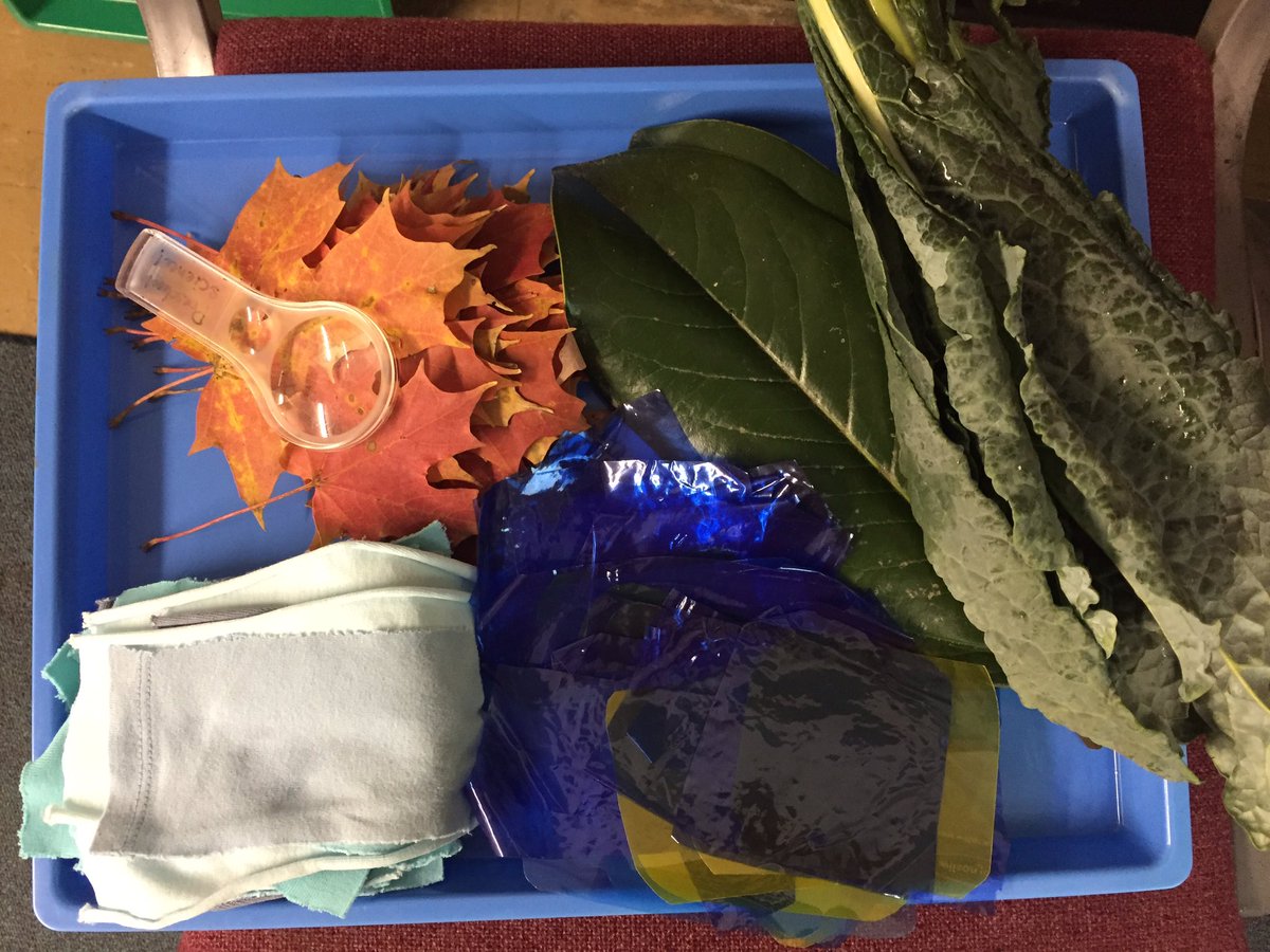 PeggyAshbrook's tweet photo. Looking forward to my morning session with educators at the Potomac Association of Cooperative Teachers professional development conference. #earlylearning #scienceis4everyone @ECSIF https://t.co/PXlXDmCgEK