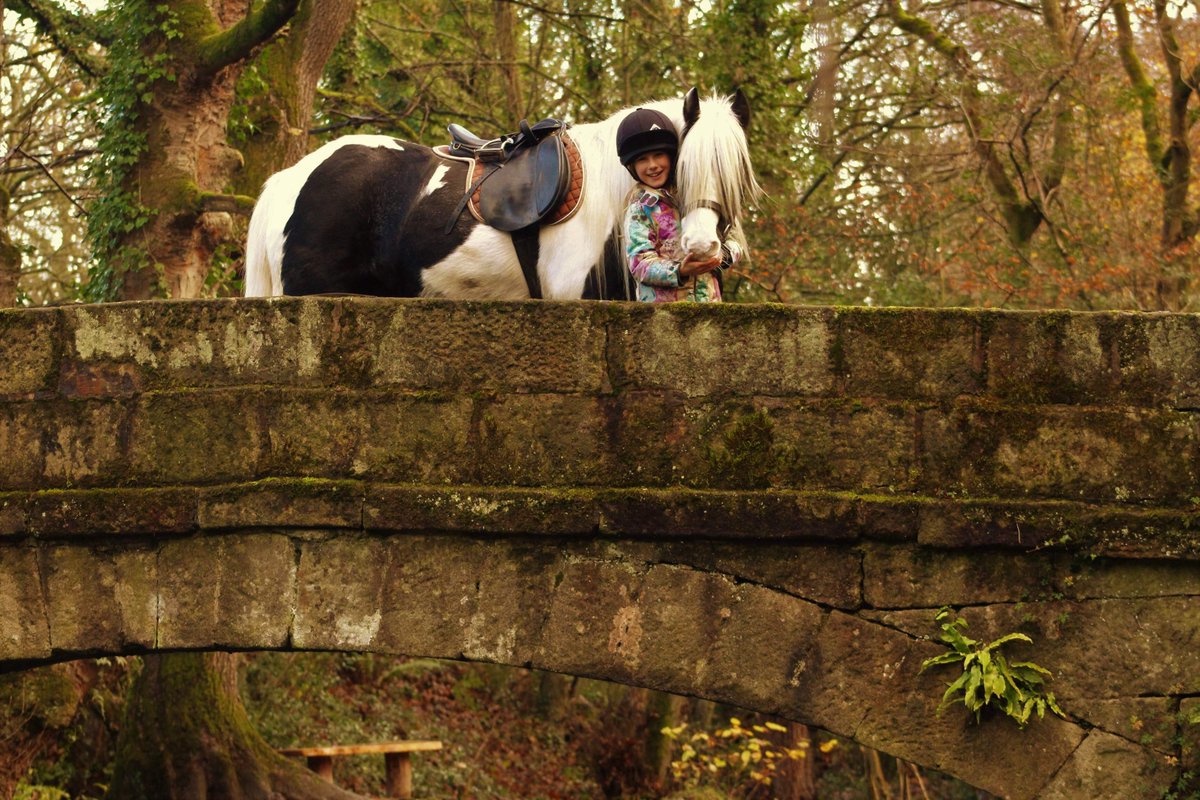 SheffieldLakes's tweet photo. #MondayMotivation from Piper and Elvis #Heritage Highways have been researching the history, doing ground surveys on 14 paths across #shefflakes some once used by pack horses and others linked to neighbouring villages, work places or churches #HeritageFundNOR https://t.co/Sejq3JjuNy