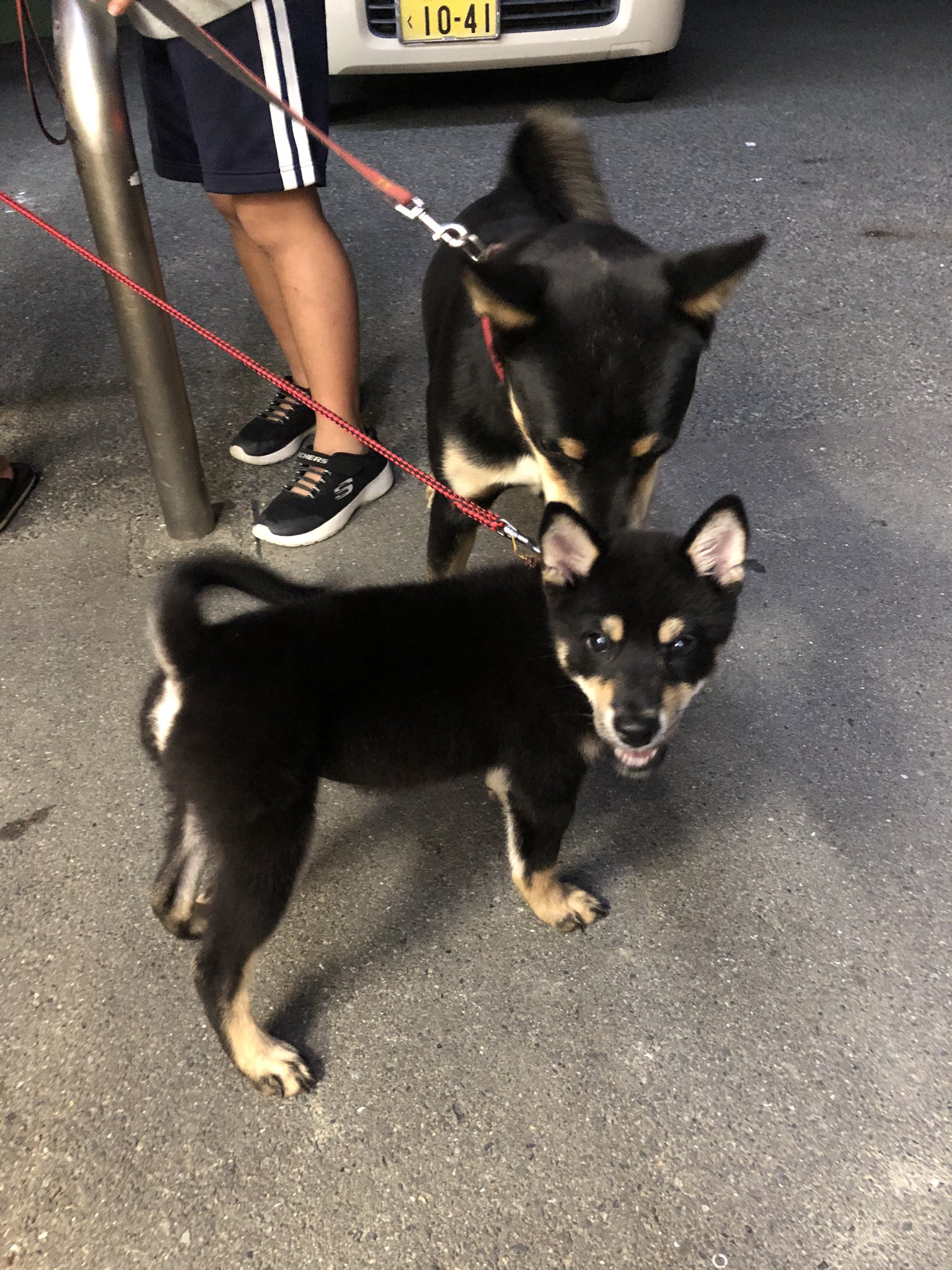 See Wz8dkdxiwkfuemx S Tweet On Oct 23 19 Twitter