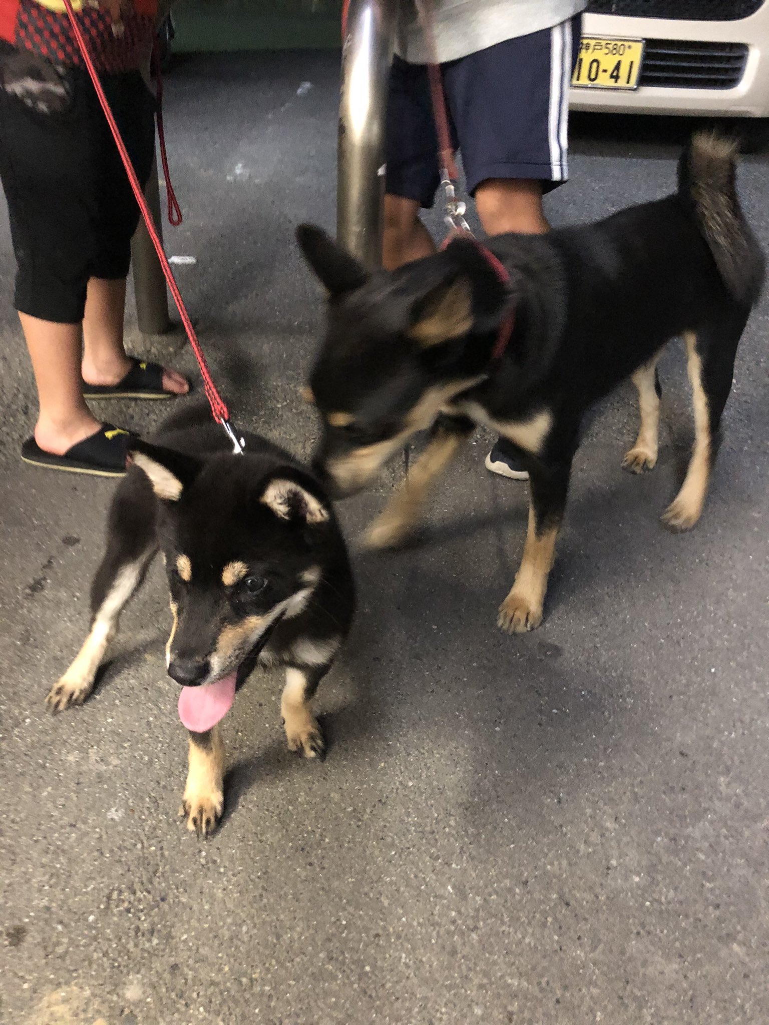 See Wz8dkdxiwkfuemx S Tweet On Oct 23 19 Twitter See Wz8dkdxiwkfuemx S Tweet On Oct 23 19 Twitter