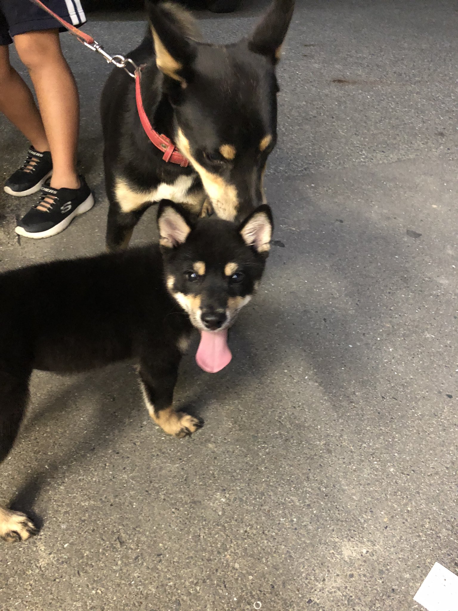 See Wz8dkdxiwkfuemx S Tweet On Oct 23 19 Twitter