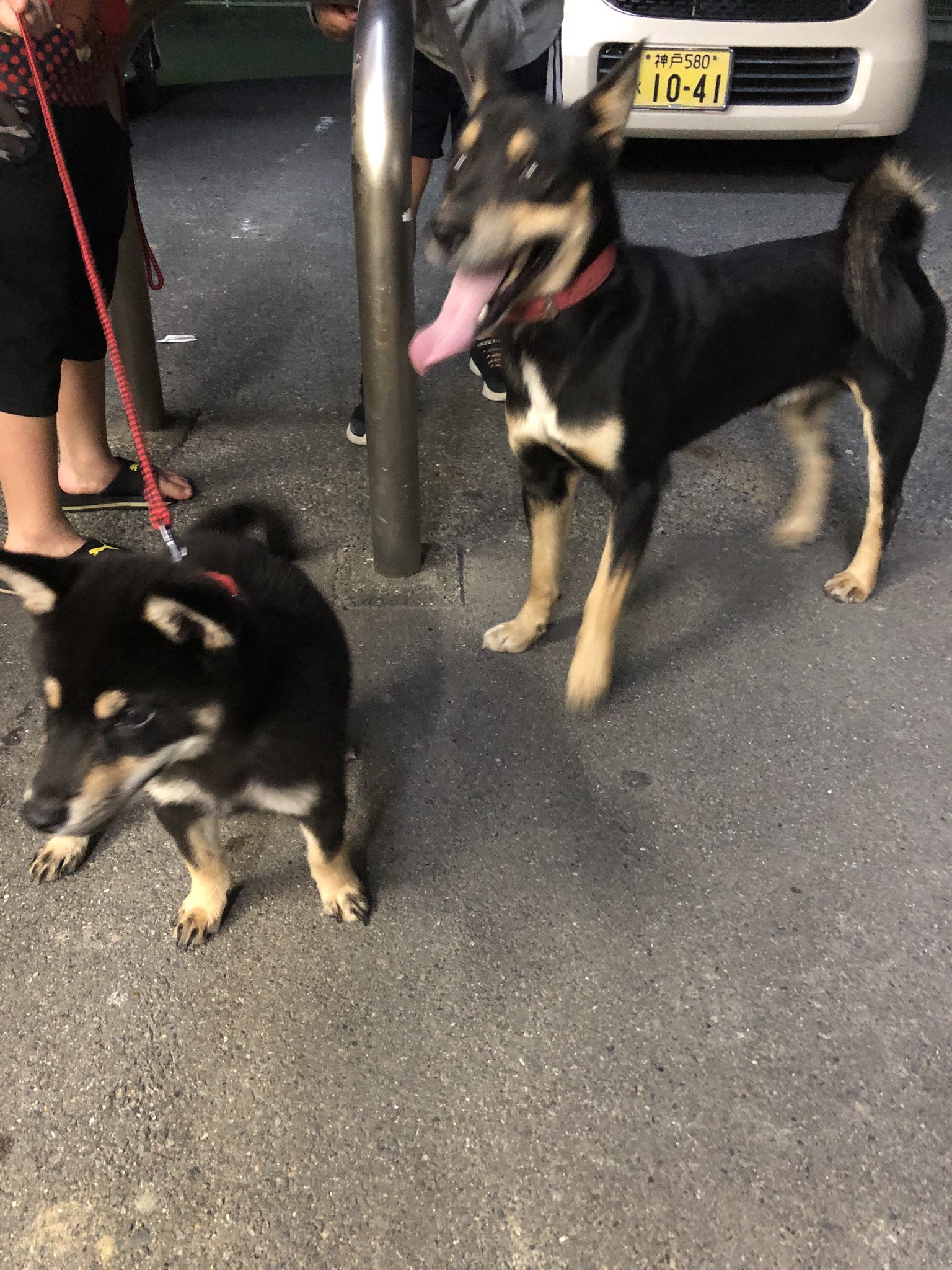 See Wz8dkdxiwkfuemx S Tweet On Oct 23 19 Twitter