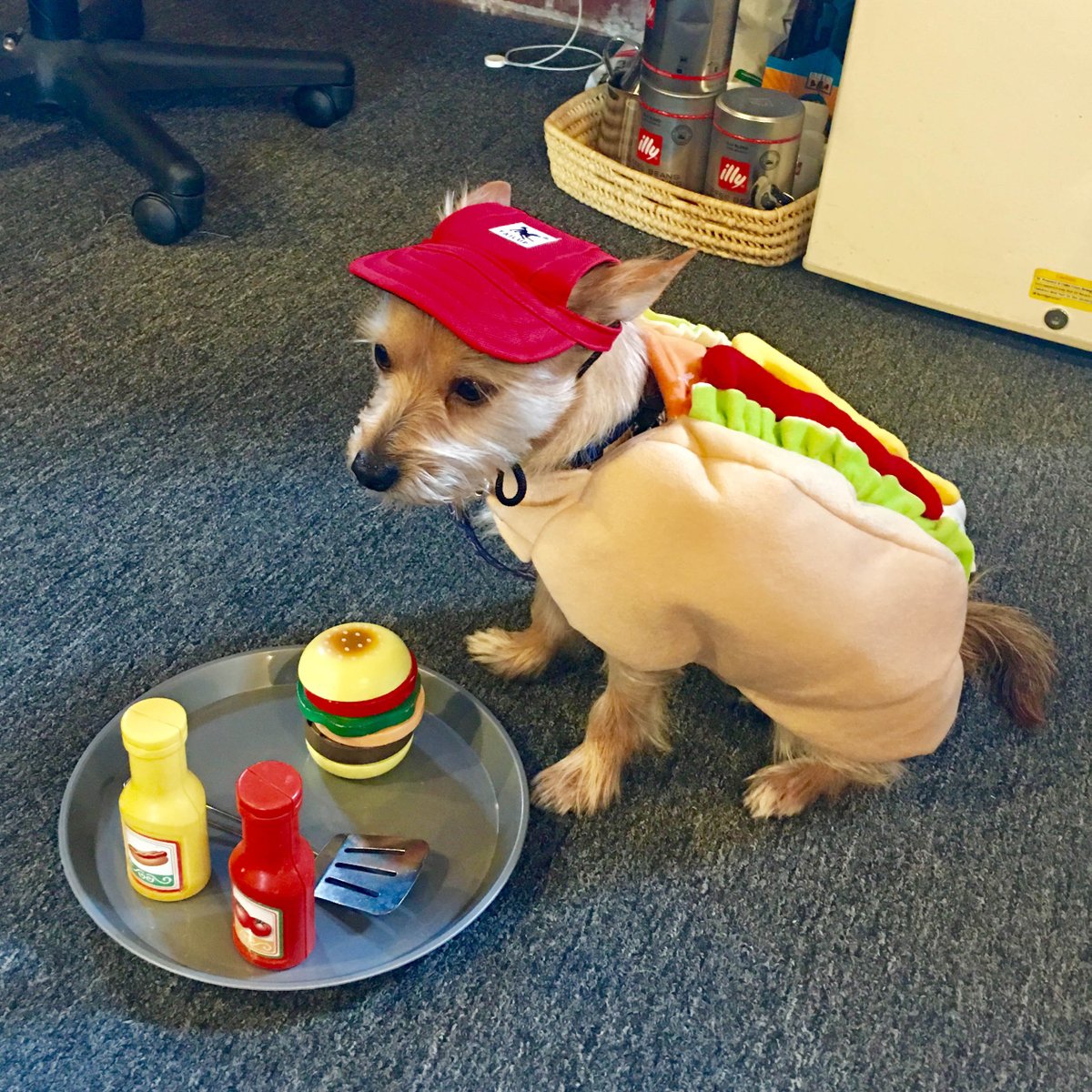 The countdown is on for this year’s costume contest and to get everyone in the ~*spooky*~ spirit, we’re sharing a few of our faves from last year. 👻 We can’t wait to see everyone in their Halloween best next week! ✨