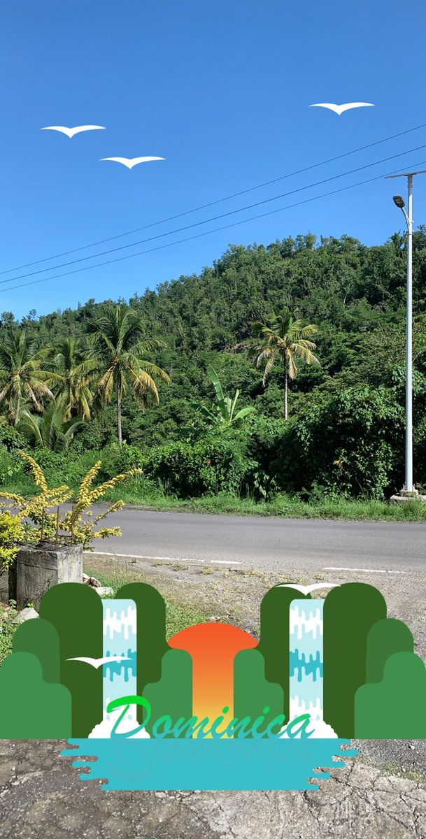 Dominica nica nica nica 😄