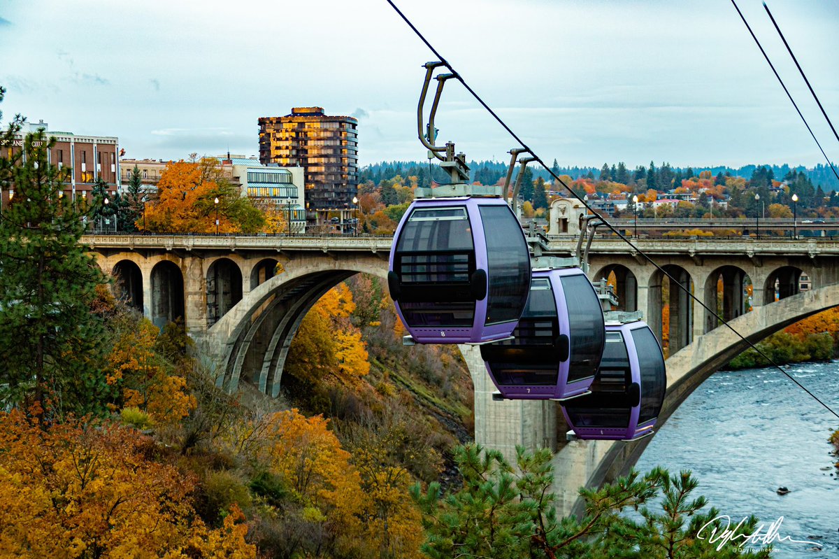 Doyle Wheeler tweet media