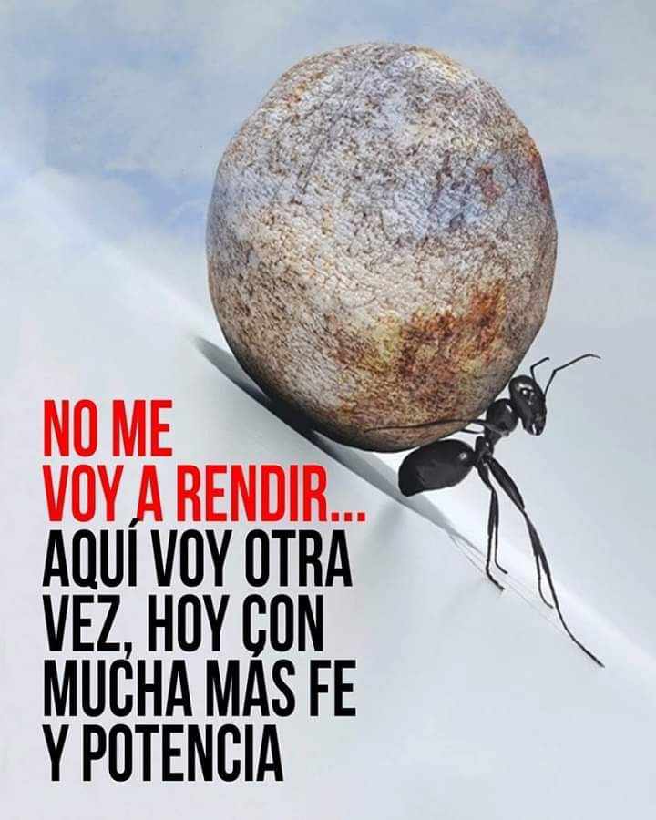 robertoaes's tweet photo. Persiste, resiste y nunca te rindas!!!

Buenos días y #FelizMiercoles https://t.co/C62c1tdwPv