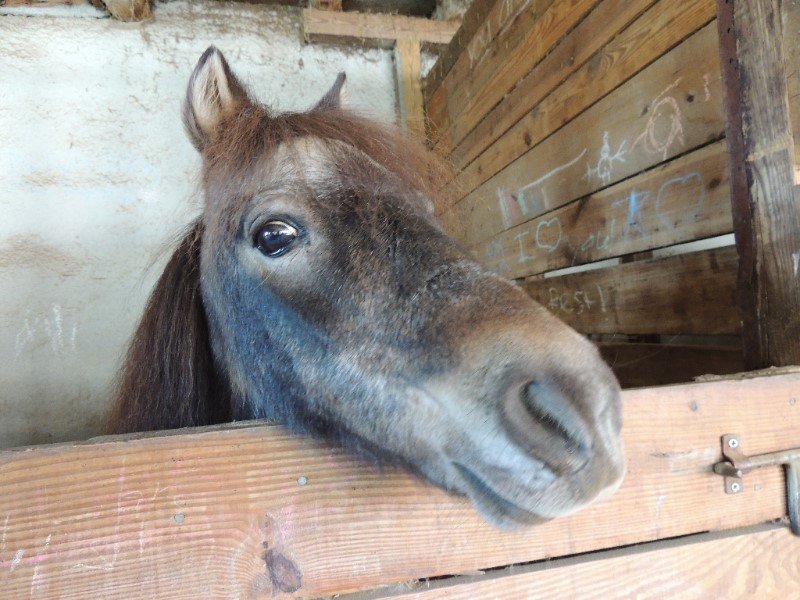 Sharing with a Heavy Heart - mailchi.mp/e9ea63fb879a/s…