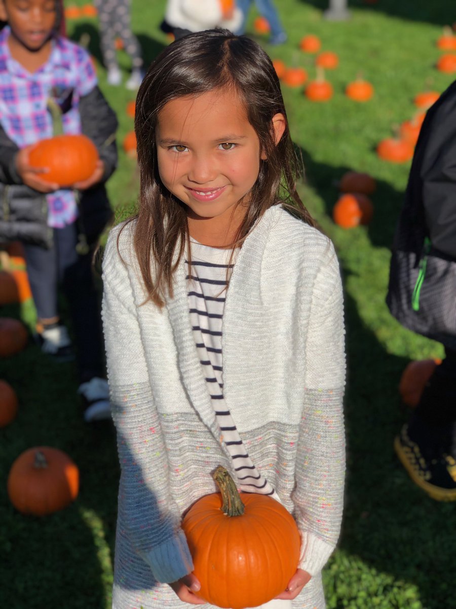 STEAM with JENEANE tweet media