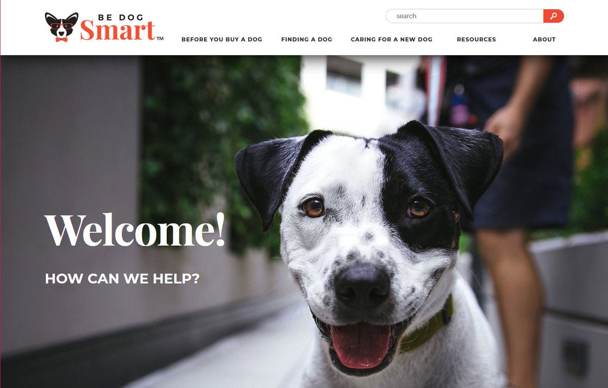 MarsPetcareUS's tweet photo. Am I ready for a dog? Adopt or shop? Puppy or adult? Glad to share #BeDogSmart, created by @petleadership to help people make responsible choices when getting a dog. Visit now! https://t.co/xuUtiHjOtO https://t.co/0Zstqdb79E