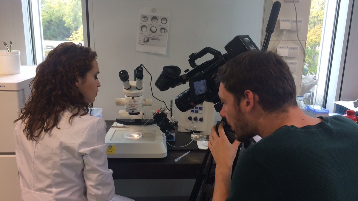 LeidenBiology's tweet photo. Meanwhile at the Institute of Biology Leiden... filming zebrafish larvae for the MOOC on microscopy @ImageInLife https://t.co/2qF84lYCiB