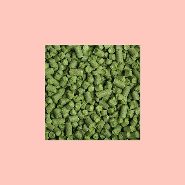 Ya todos listos para #cervezamexico2019 ? Busca nuestro stand #sabrosayelegante #cervezacrucru ift.tt/2W5B7FM