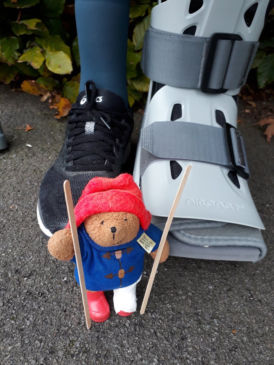 MrPB_Esq's tweet photo. Leaves, leaves and #EmergenTea-leaves... :-)
All part of our #MrPBsFirstSteps' recovery... :-)
π»β€π³ππβ
#GoWalkMrPB π
#GetOutside #OneHourOutside :-)
#LiveBreatheOutdoors π«
#MentalHealthMatters π https://t.co/YrI1BEJAiS