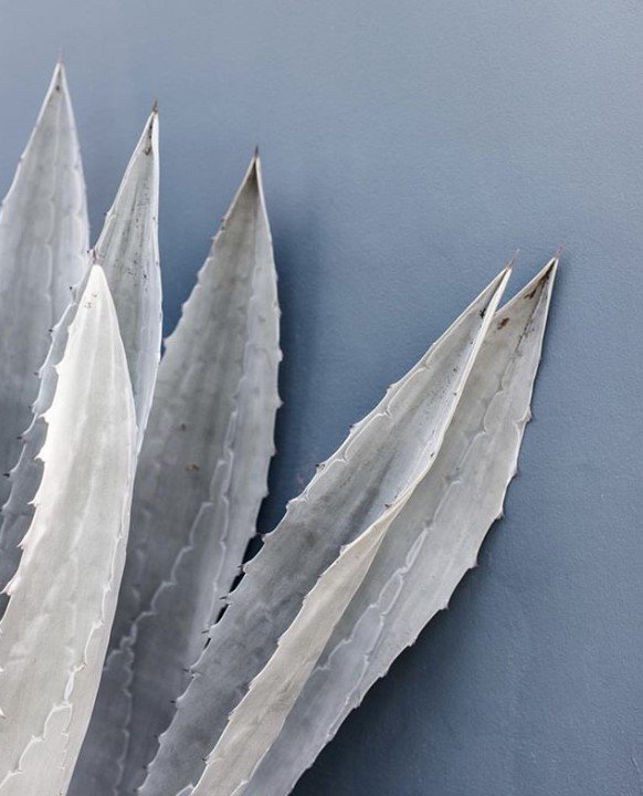 VAVBasics's tweet image. 