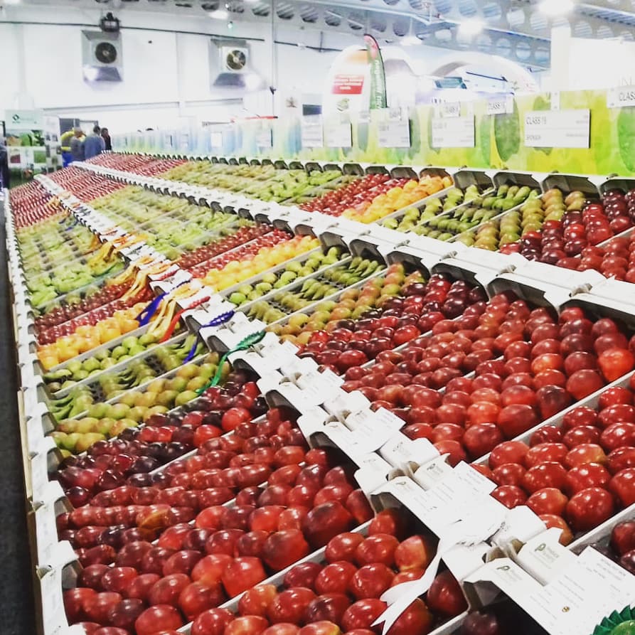 ADASGroup's tweet photo. Our #horticulture consultants Sonia and Guy are checking out the @Nationalfruit show today. Such beautiful colours on display ππππ #NFS19 https://t.co/lUFwWHkl9G
