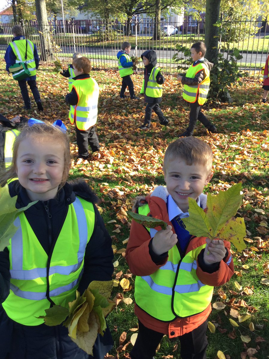 Flomellynews's tweet photo. We have really enjoyed our afternoon. We spoke about the different coloured leaves and why some trees have leaves all year round. #evergreen #decidious #leaves #changingseasons https://t.co/kurXZkogG9