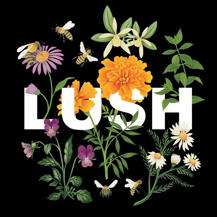 consultant4art's tweet photo. Charlotte Day rep'd by Central Illustration Agency #Botanical #Painterly #Cosmetic #Product #Flower #Floral #Delicate #Packaging #BeeBees https://t.co/yTu92zHFgs https://t.co/hIUXsu6206