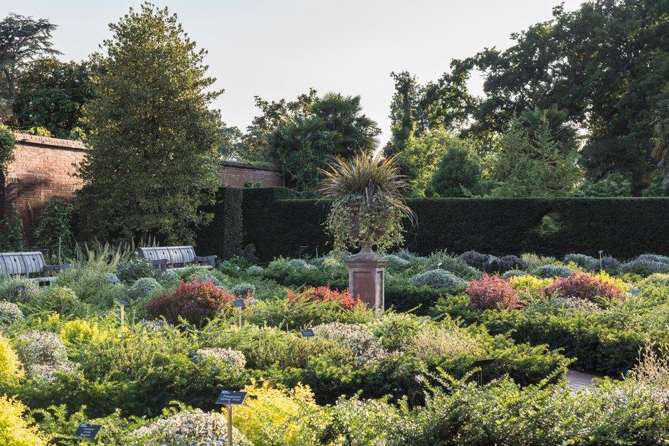 The_RHS's tweet photo. This Friday we will be hosting free talks about the best plants to mark your borders and boundaries by members of the RHS Woody Plant Committee in the Garden Room at @RHSWisley. Learn how to perfect your hedge. 

Find the itinerary for the day here:
https://t.co/PtLl41aMKY https://t.co/l9HUJY869l