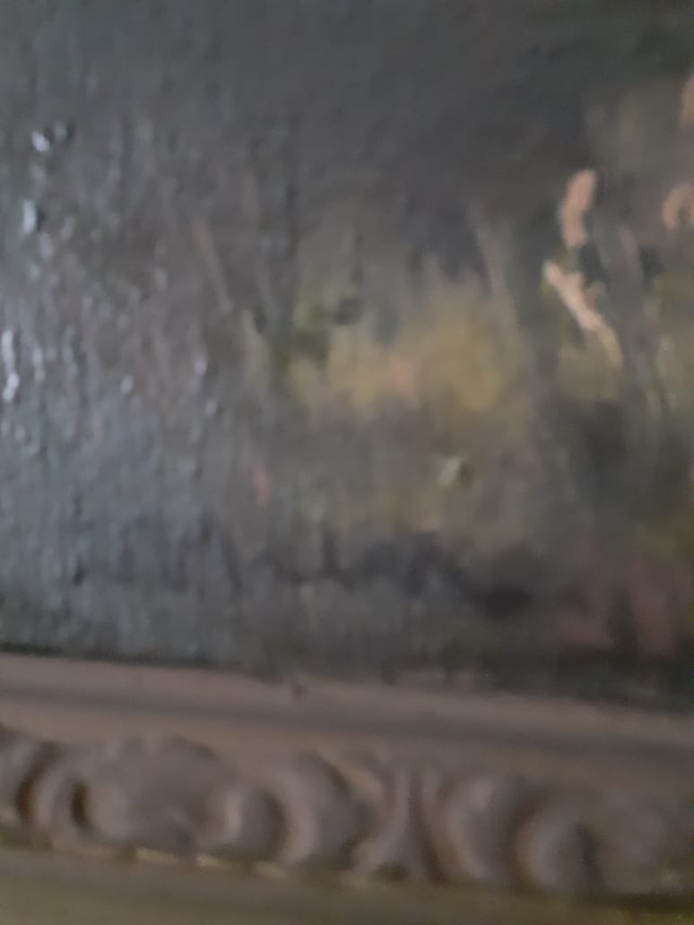 Lukisan siapakah ini? 🙏