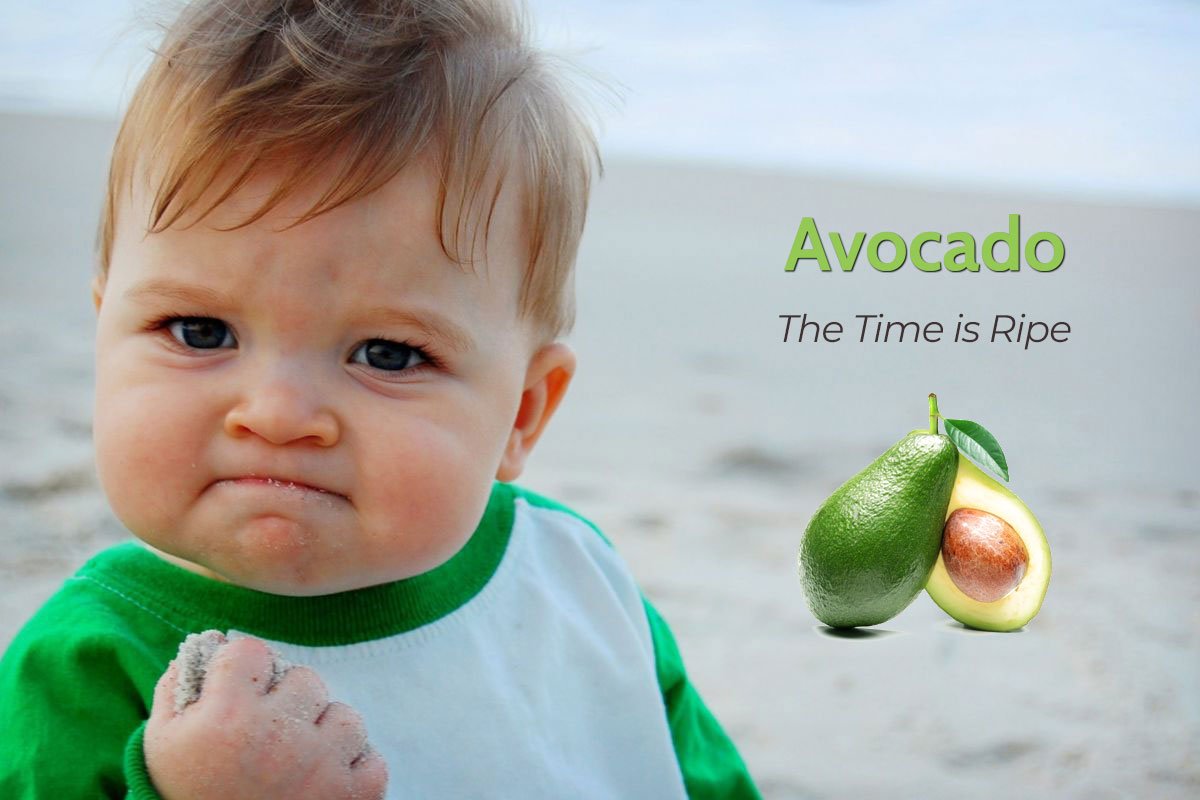 It's been a BIG couple of weeks for us! Two new <a href="/ymca/">ymca</a> clients for the Avocado Recreation Management Platform (built on top of <a href="/salesforce/">Salesforce</a>). We welcome The Greater Philadelphia YMCA (<a href="/philaymca/">The Greater Philadelphia YMCA</a>) the Avocado family! We look forward to helping you transform the member experience!