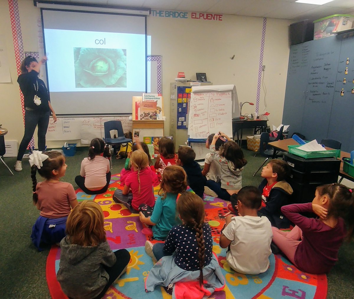 yaneth_helm's tweet photo. ❤ watching Kinder DL build oracy for Rdg! Great job Ms. Sierra! 👏🐊🐊! @GattisRRISD @BilingualRRISD https://t.co/qzOJul5QES