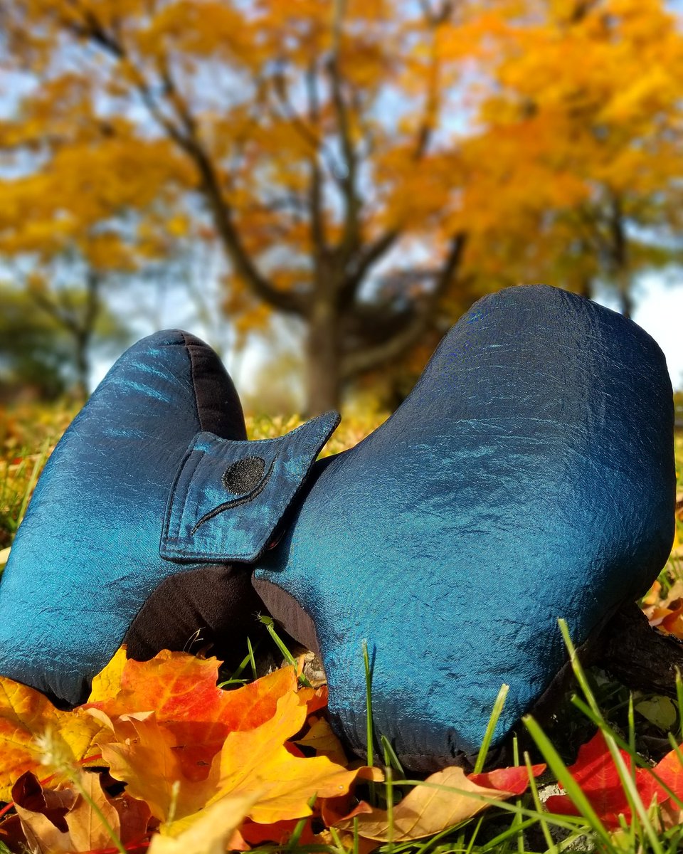 OutlierInspired's tweet photo. Falling is for leaves, not for sleepy heads! What are your favorite spots to getaway for #FallColors ?
#SkyDreamer #TravelHasEvolved https://t.co/QjYUOJshcg