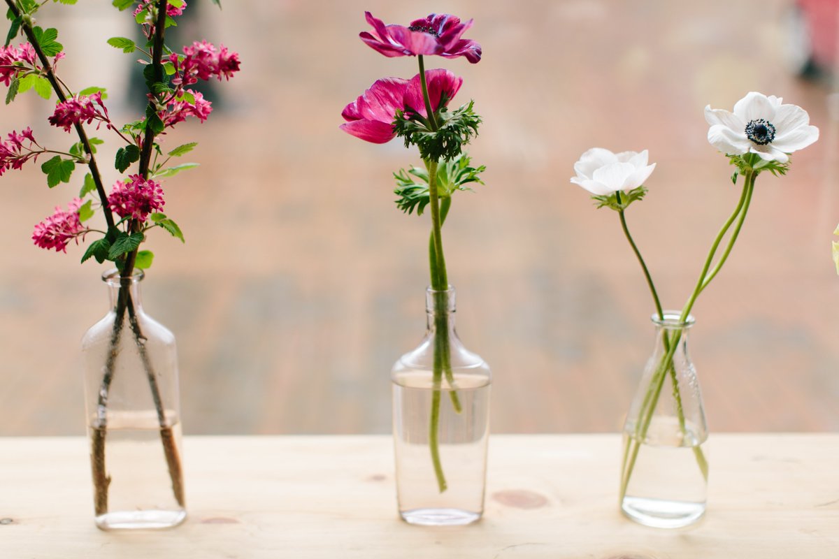 Word Alive Press tweet media