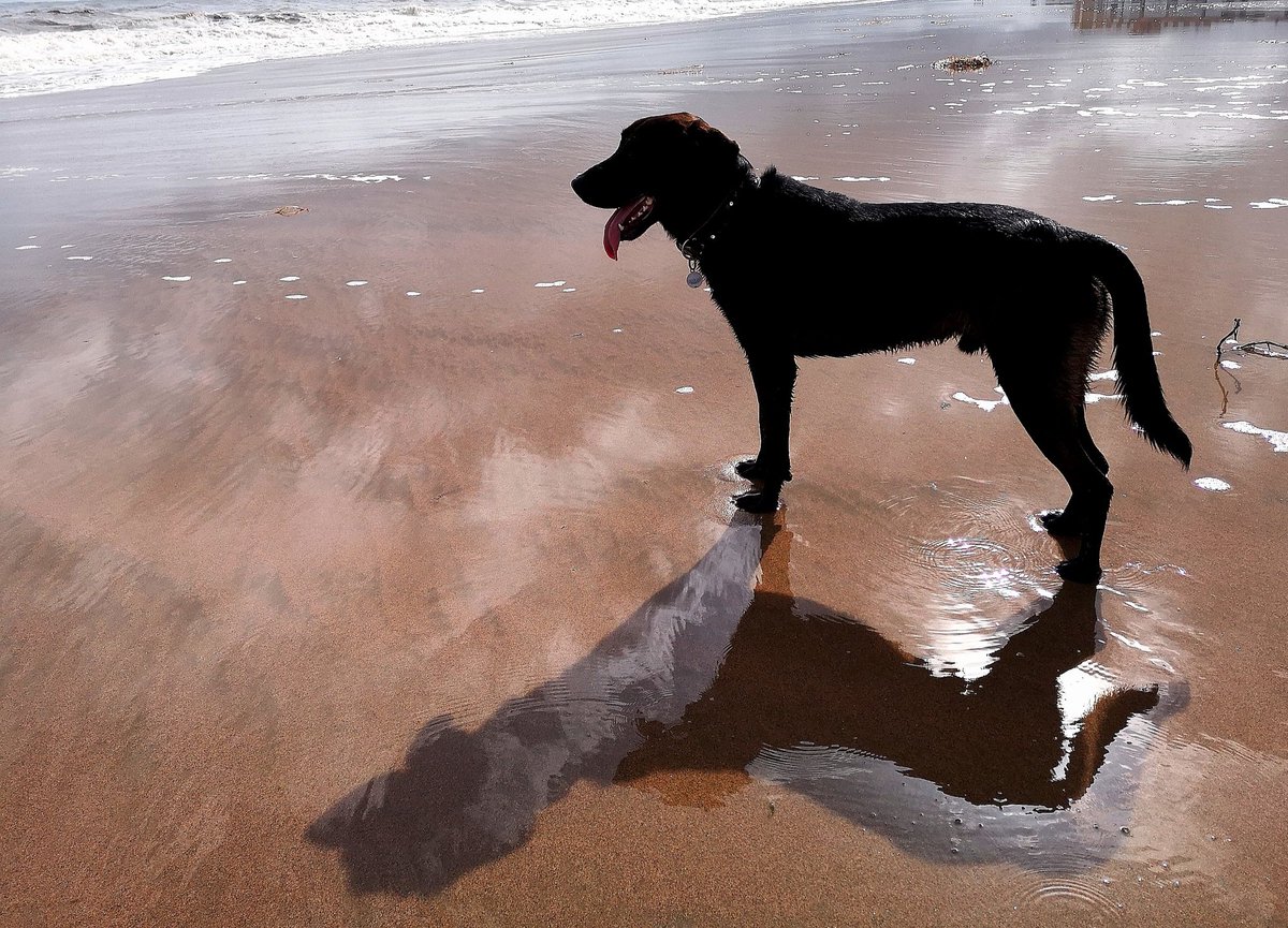 #EinfachMalMachen &amp;  #genießen
#Danke 💕