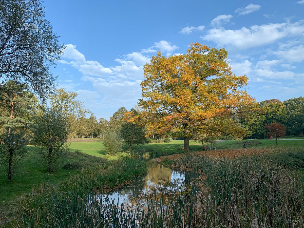 Wessel_66's tweet photo. #goffertpark #nijmegen #herfst https://t.co/oGh1WUXkor